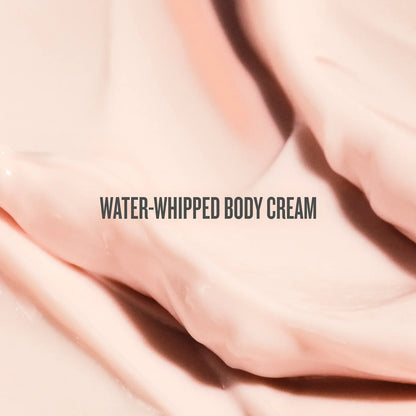 Rosa Charmosa™ Dewy Cream