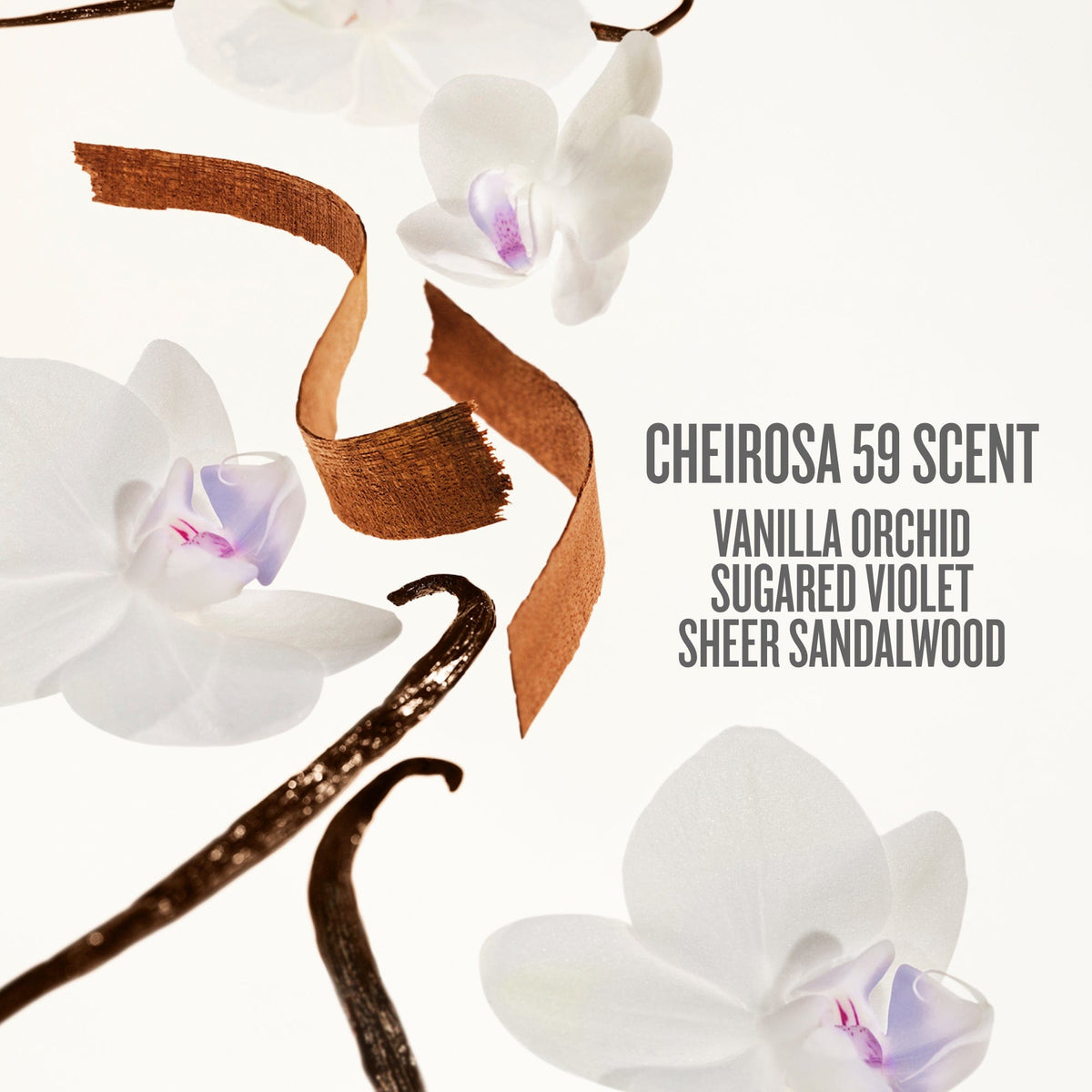 Mood-Boosting Duo | Online Exclusive